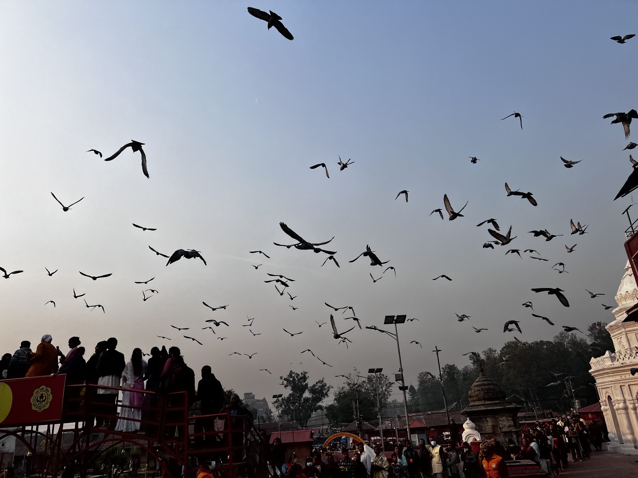 नयाँ बर्ष २०८० को पहिला दिन पशुपतिनाथ मन्दिर परिसर