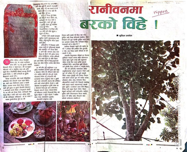 वर पिपलको बिवाह र हराउदै गएको चौतारी