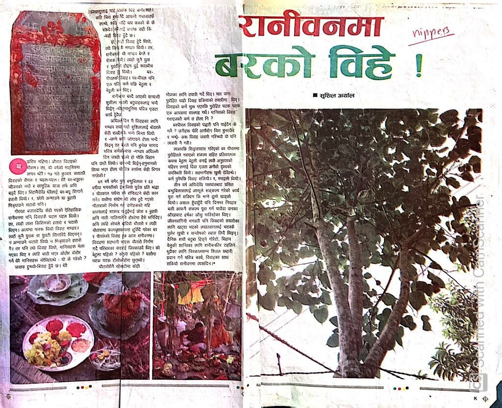 वर पिपलको बिवाह र हराउदै गएको चौतारी